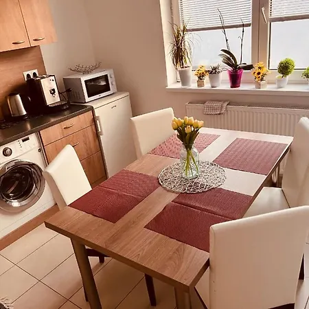 Daire Sparrow Apartmens - Vrabcia Ulica 9,